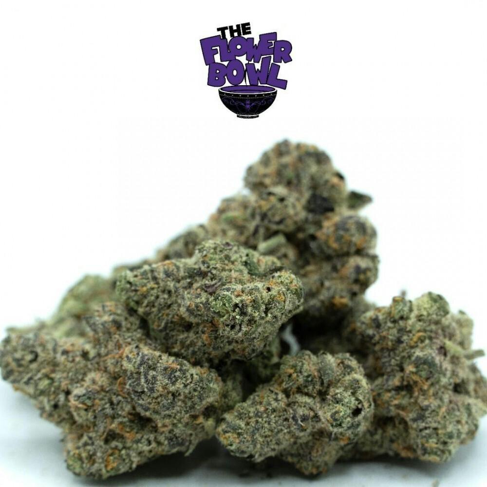AU $10 Shelf Cookies - Cheetah Piss