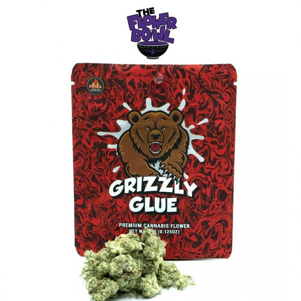 AU Grizzly Glue 8th