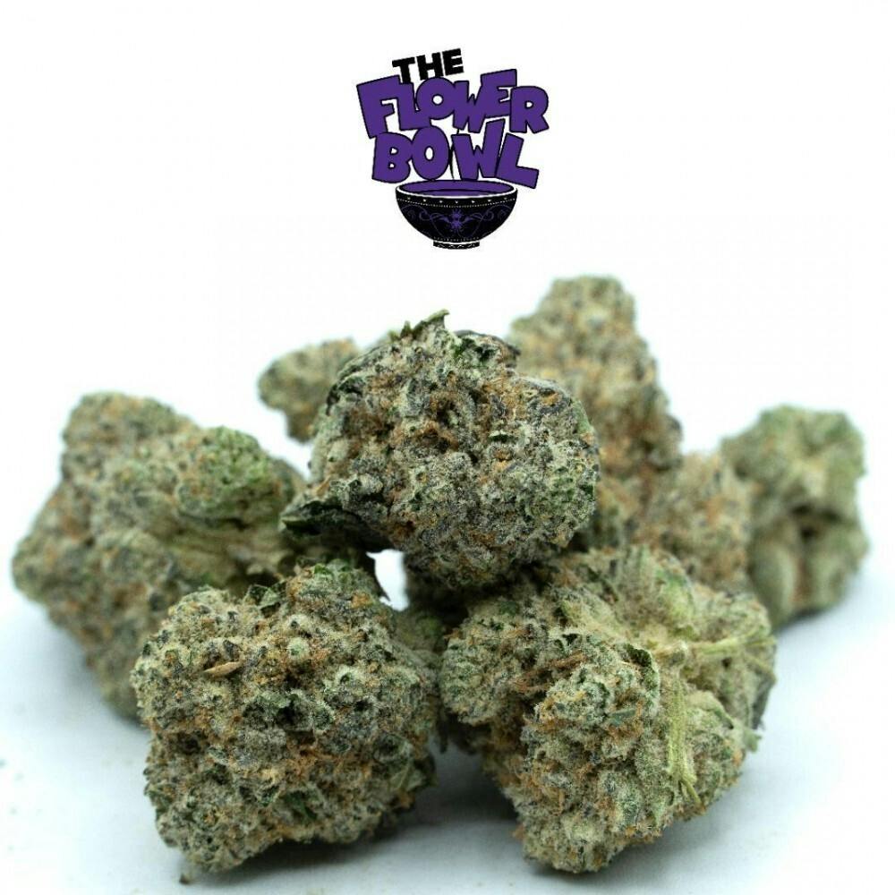 AU $50 7G - Animal Tree13