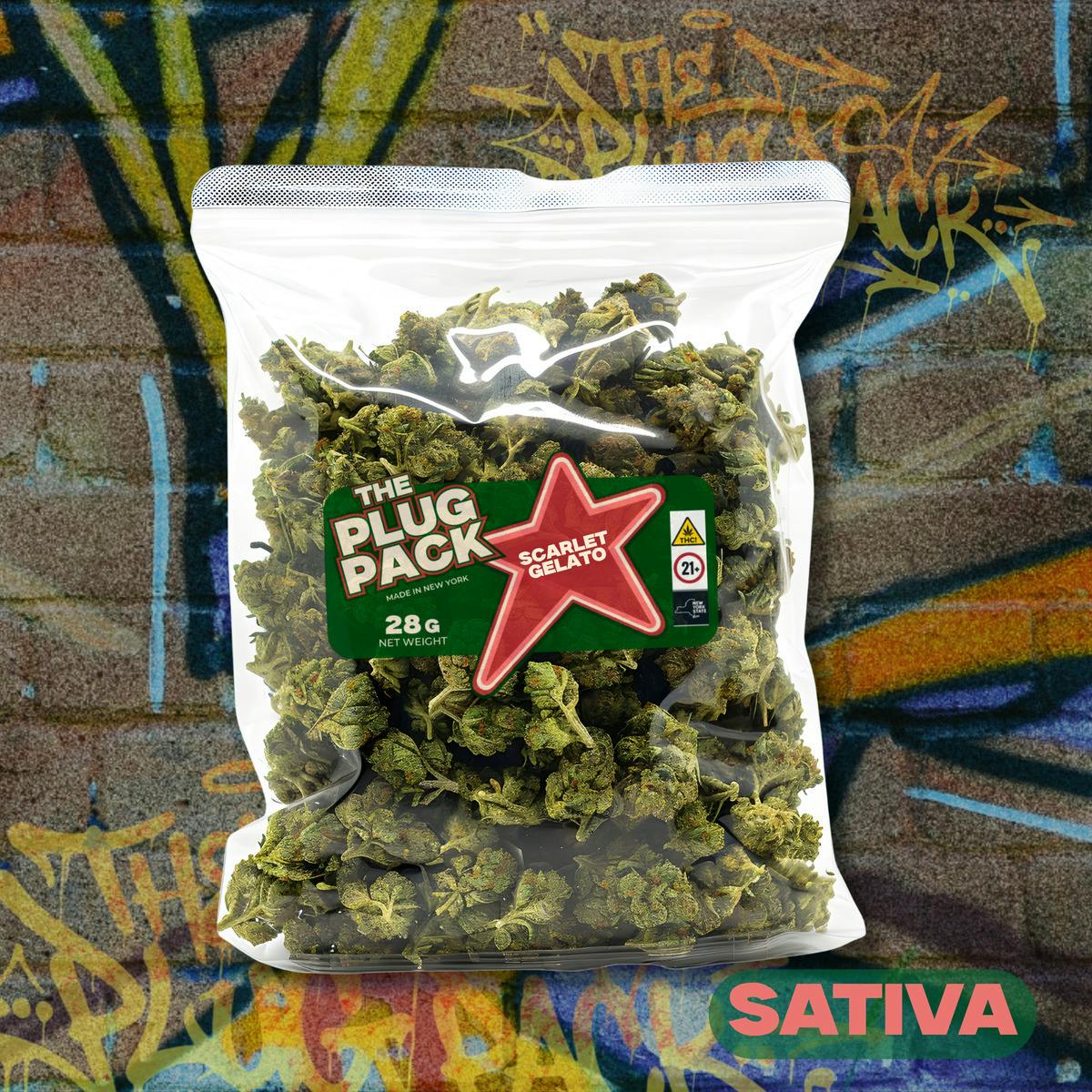 The Plug Pack - Scarlet Gelato - 28g