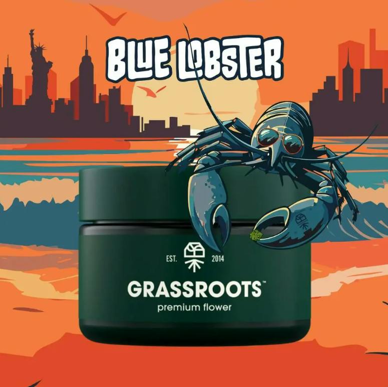 Grassroots - Blue Lobster - 3.5g