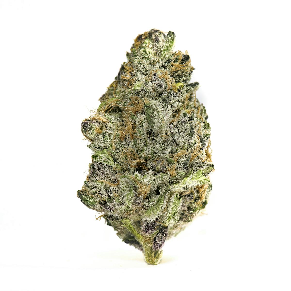 Green Fuego-Dark Shadow Haze - (S) 28.7%