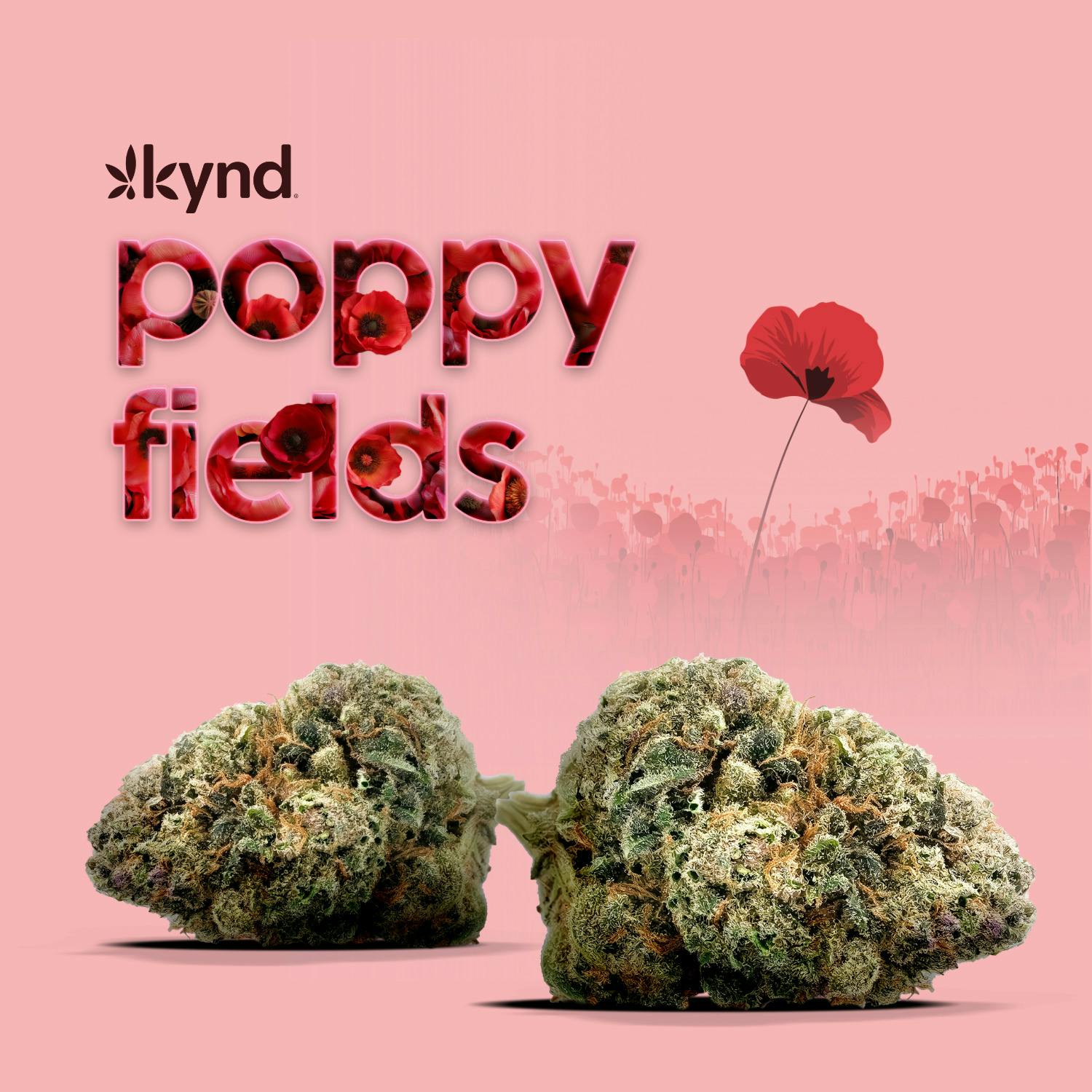 Poppy Fields Flower