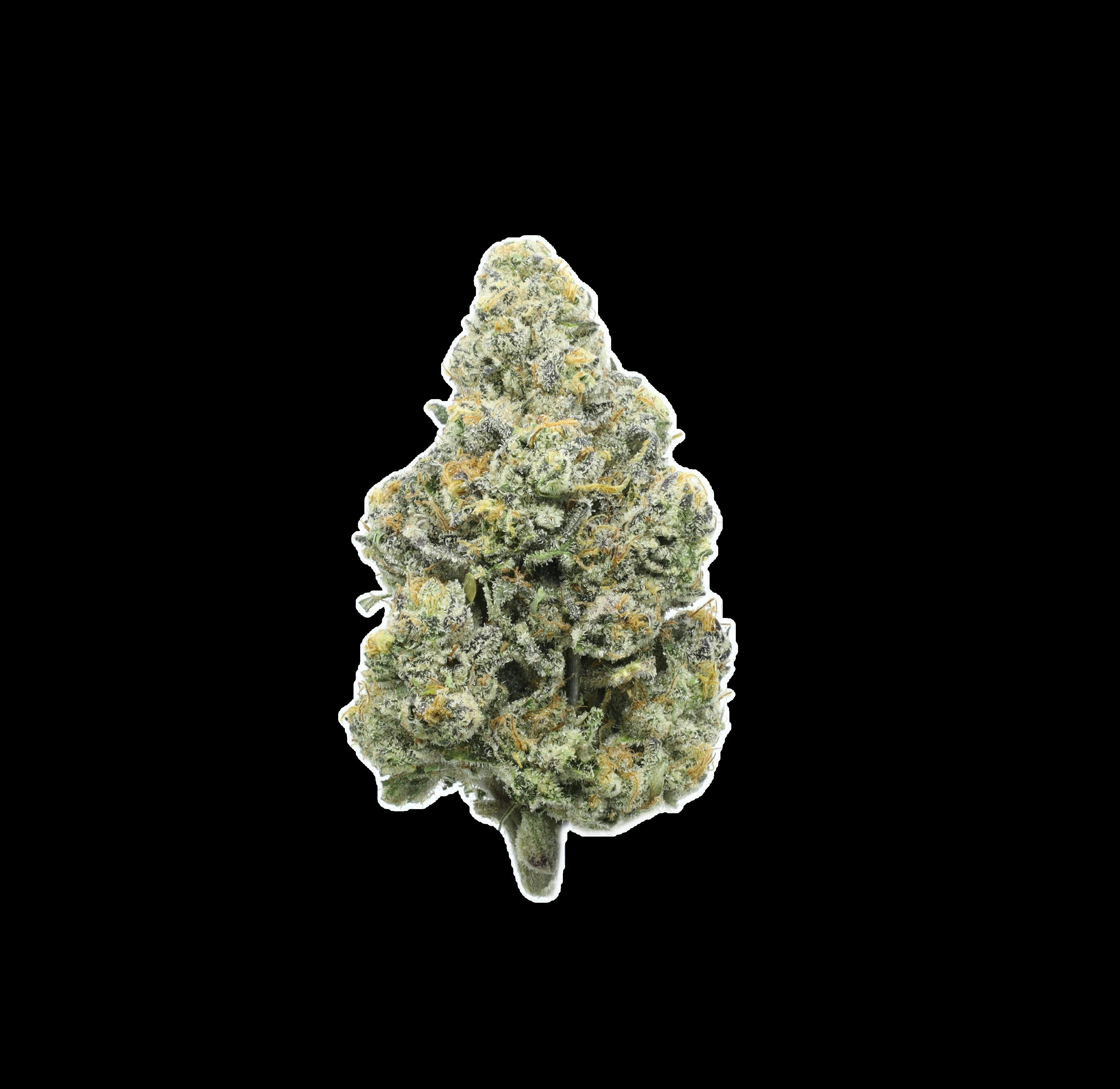 Nature's Chemistry - Jungle Juice (5g)