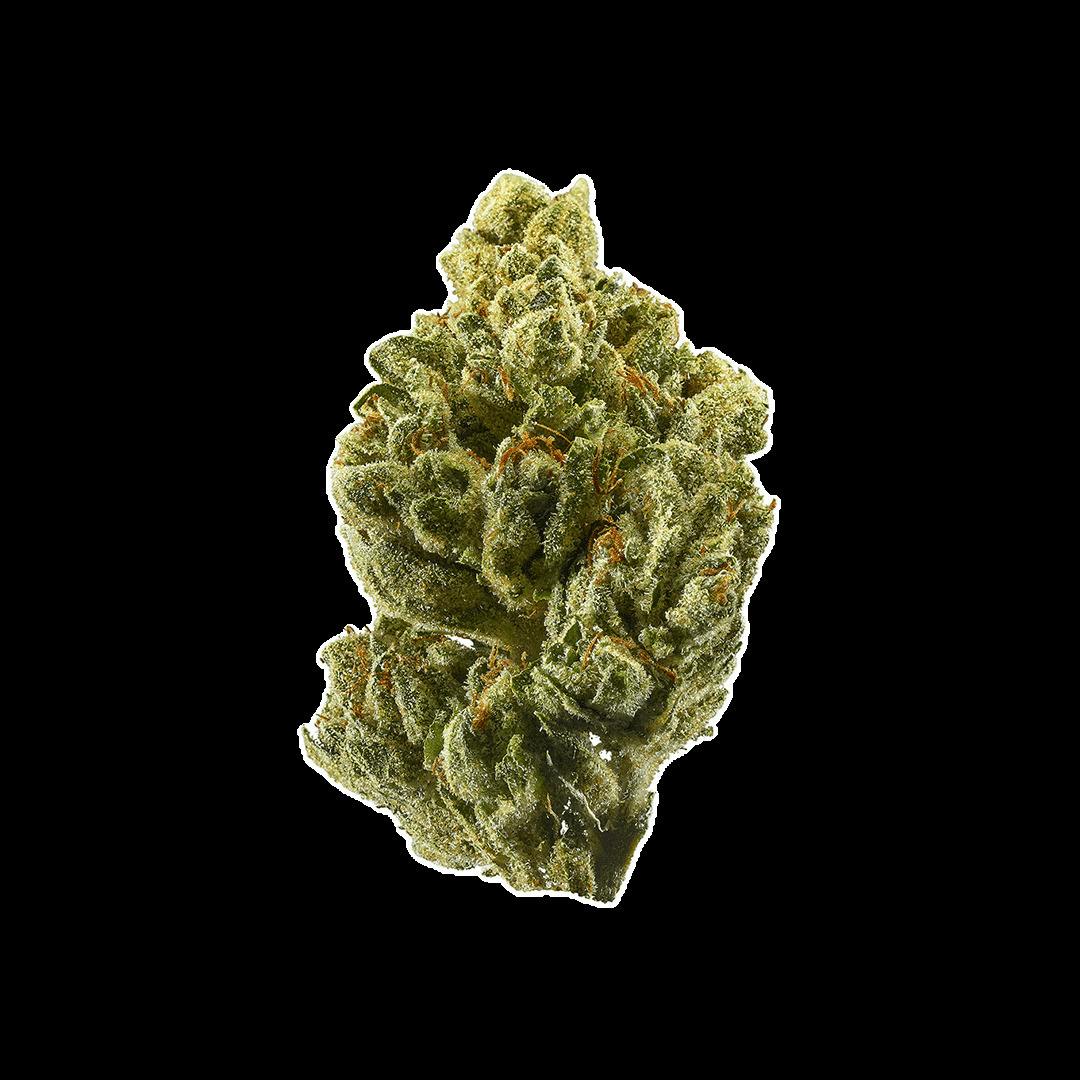 Nature's Chemistry - OMG (5g)
