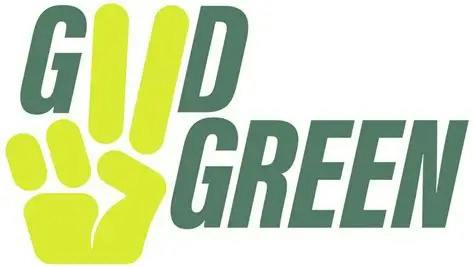 Good Green | Night Owl Haze (S) | Flower