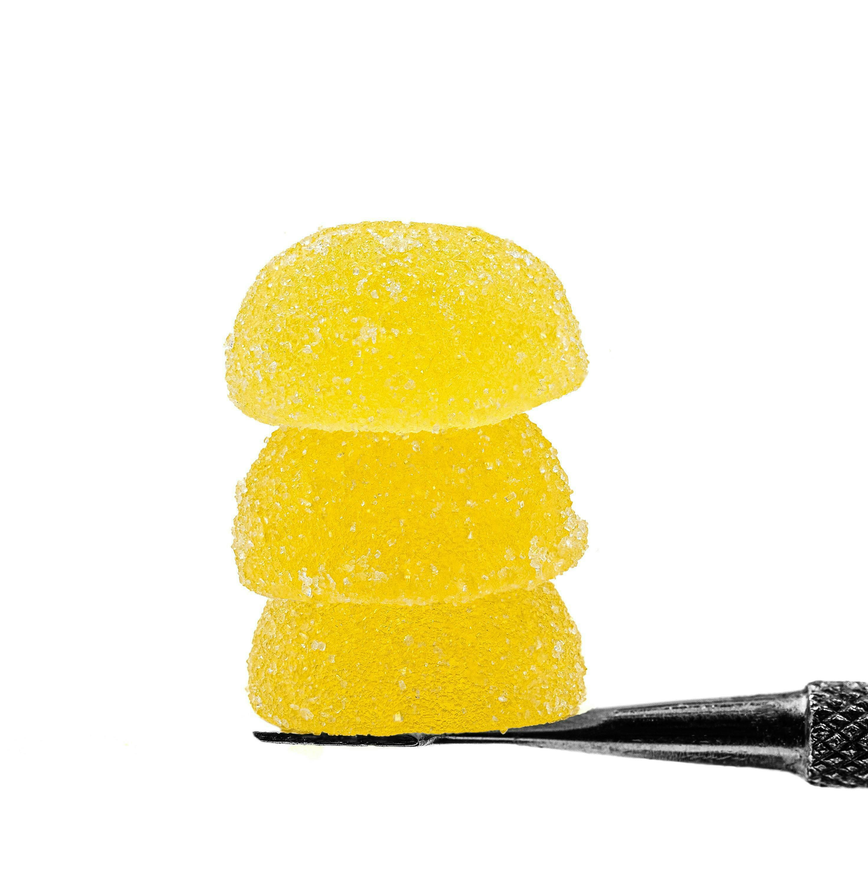 Rosin Tech Labs: Dosi Papaya