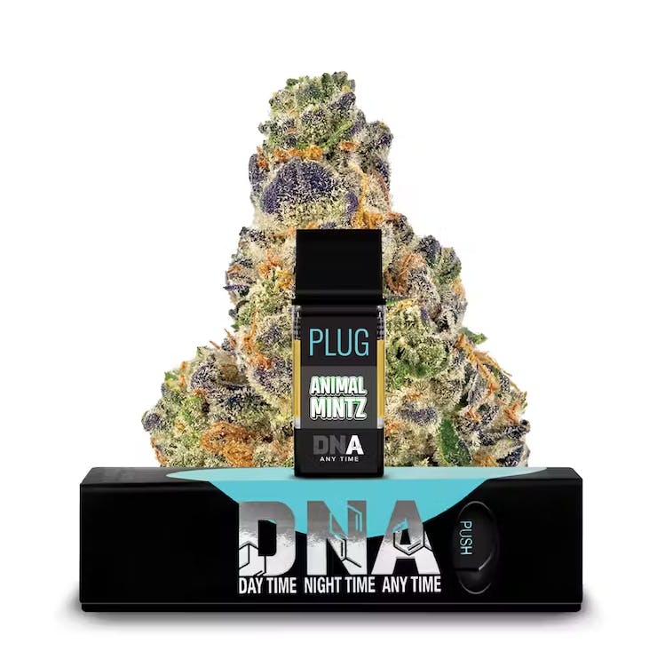 PlugPlay: GMO - Dna