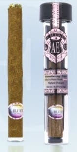 El Blunto: Especial Rose Gold Blunt - Rojo