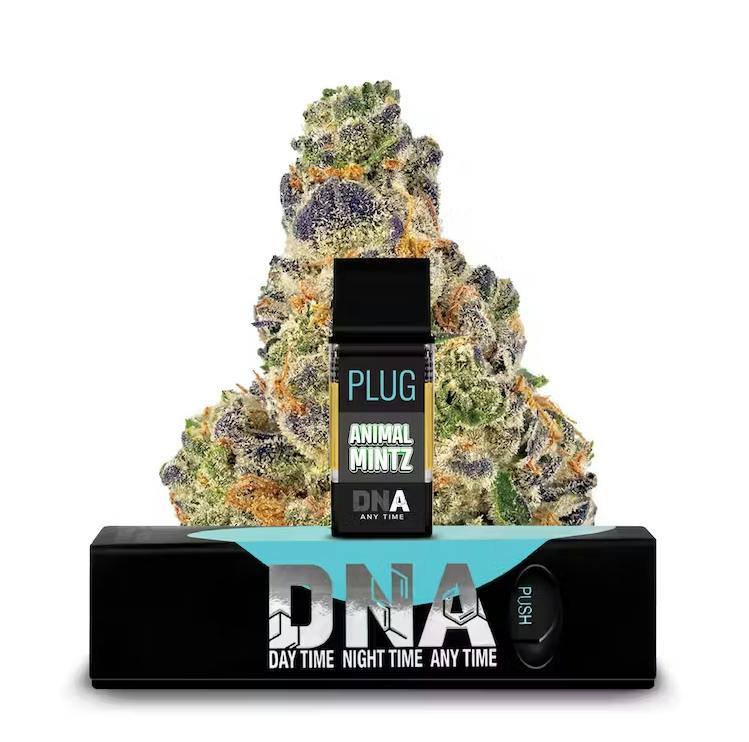 PlugPlay: GMO - Dna