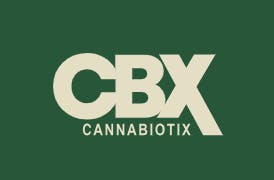 CBX - Prerolls - Zaalander - 4PK - 2G