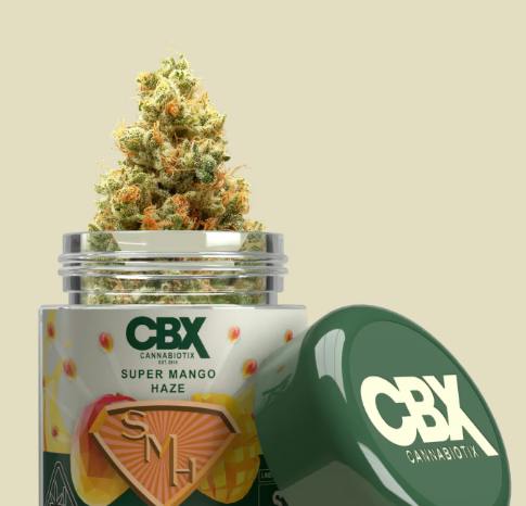 CBX - Flower - Super Mango Haze - 14G