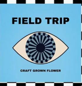 FIELD TRIP - Flower - Gelonade - Smalls - 10G