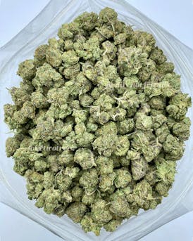 Canna Stix - Garlic Gazillionaire {Indica}