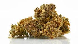 Mad Flower - Modified Grapes {Indica}