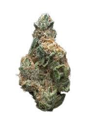 Boulder Built - Snow Queen