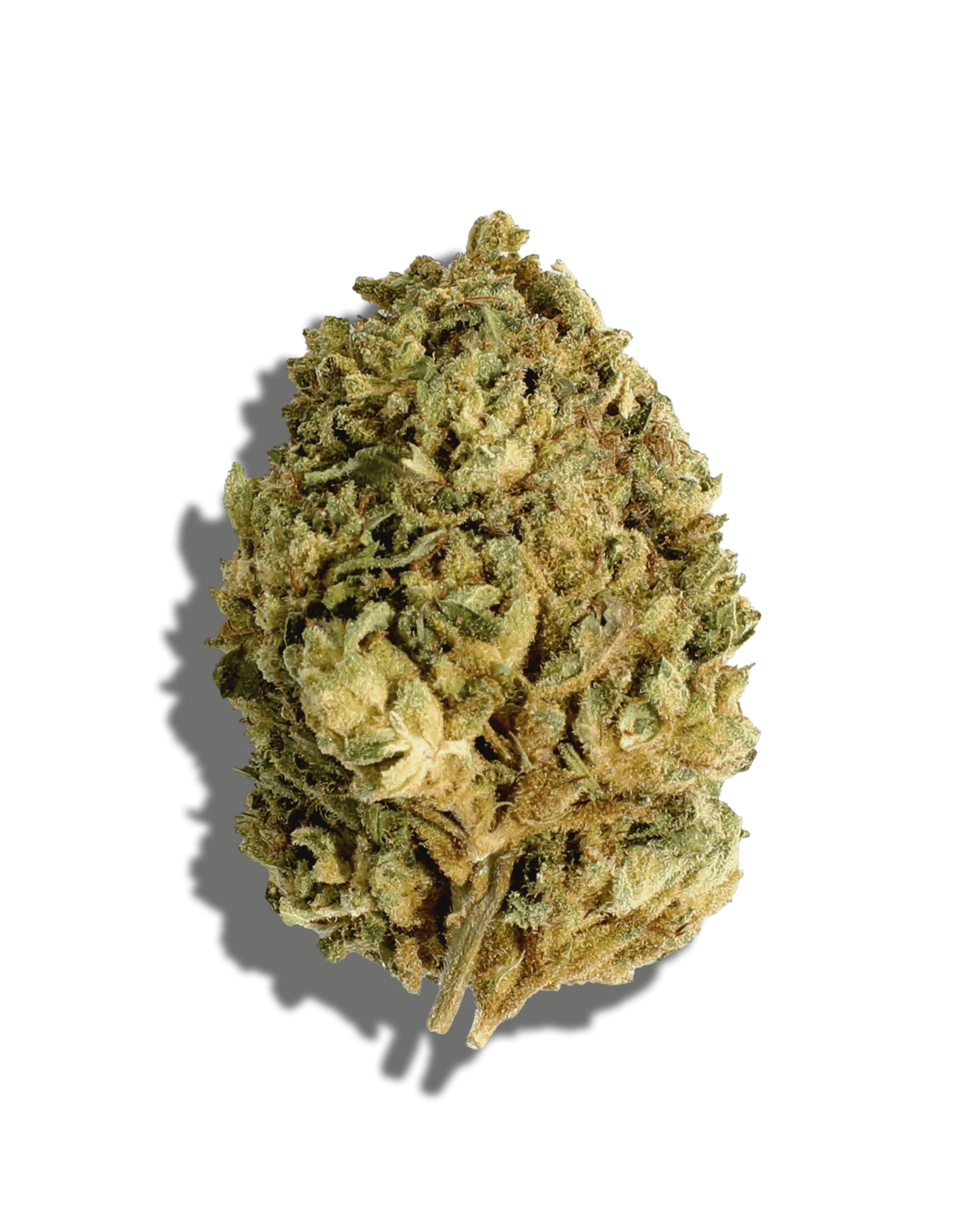 Grasshopper Farms - Grasshopper Gum