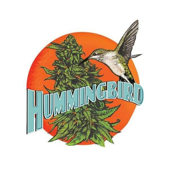 Hummingbird - MAC