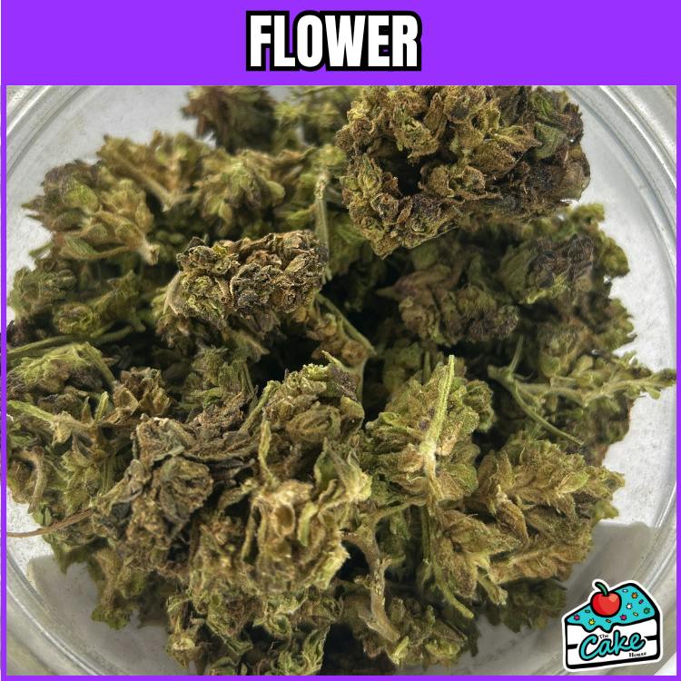 OCEANA GARDENS - ORANGE CREAM POP at BE Provisioning Weed Dispensary Battle Creek