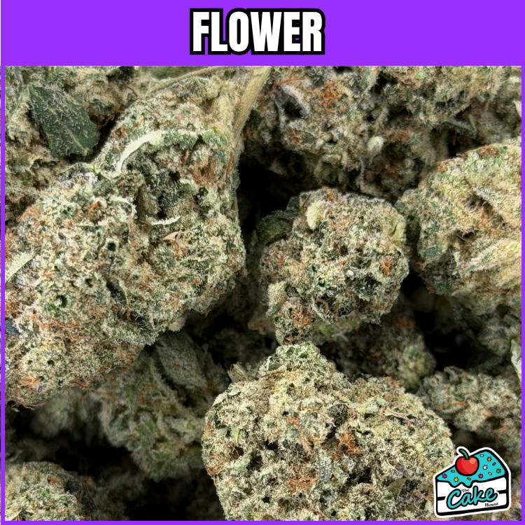 Primo Danks - OG Kush cannabis product