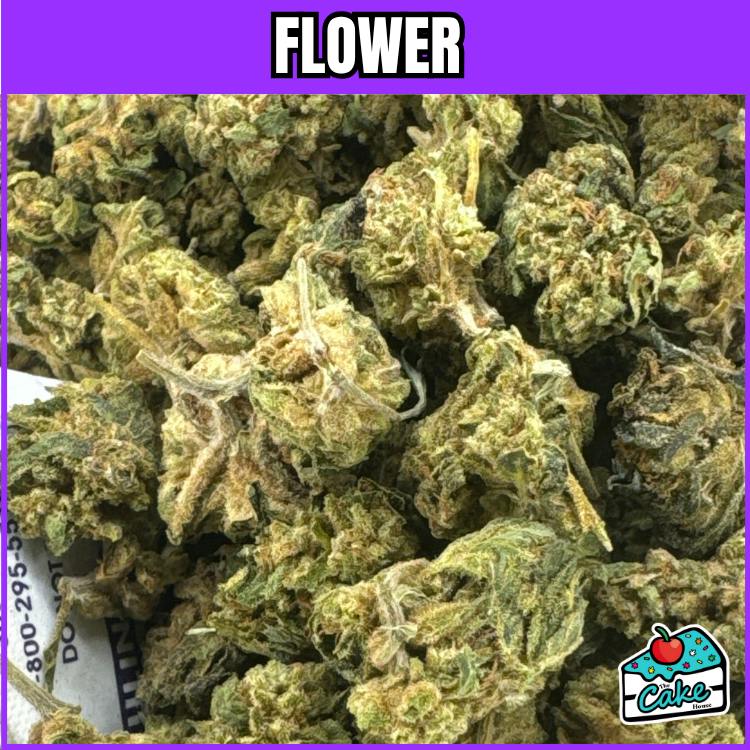 Grip - Critical Kush at Leaf & Bud Battle Creek