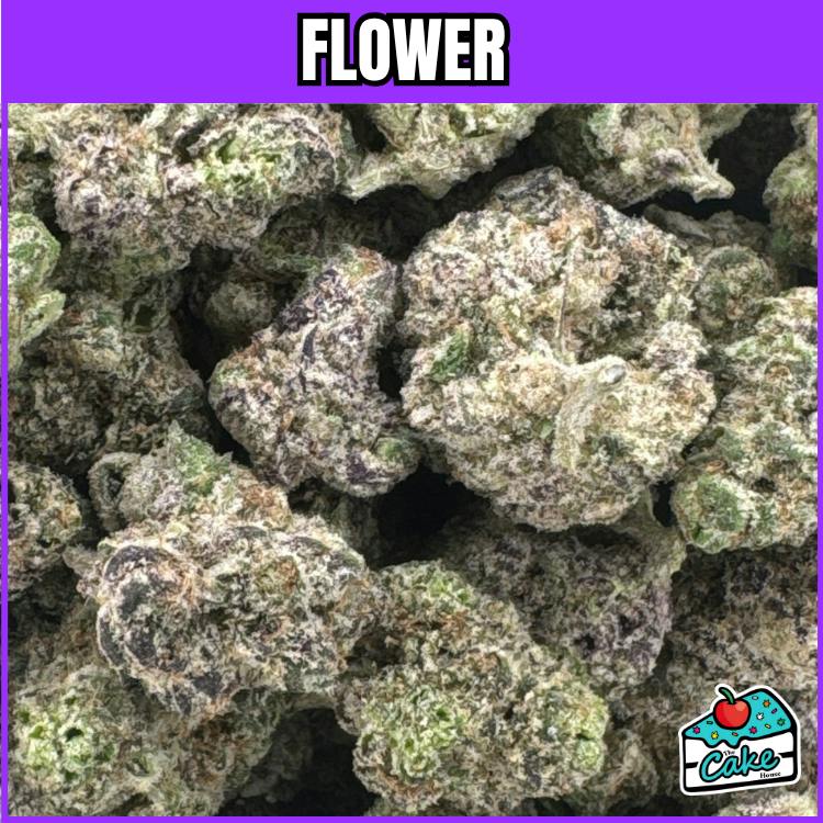 Flower Power - Pop Roxx