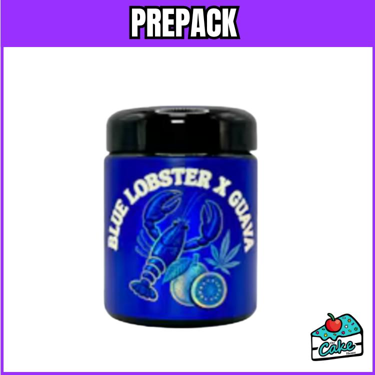 Mitten Canna 14g Jar - Blue Lobster Guava