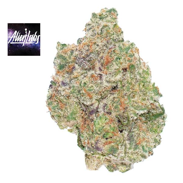 ATOMIC APPLE 3.5G