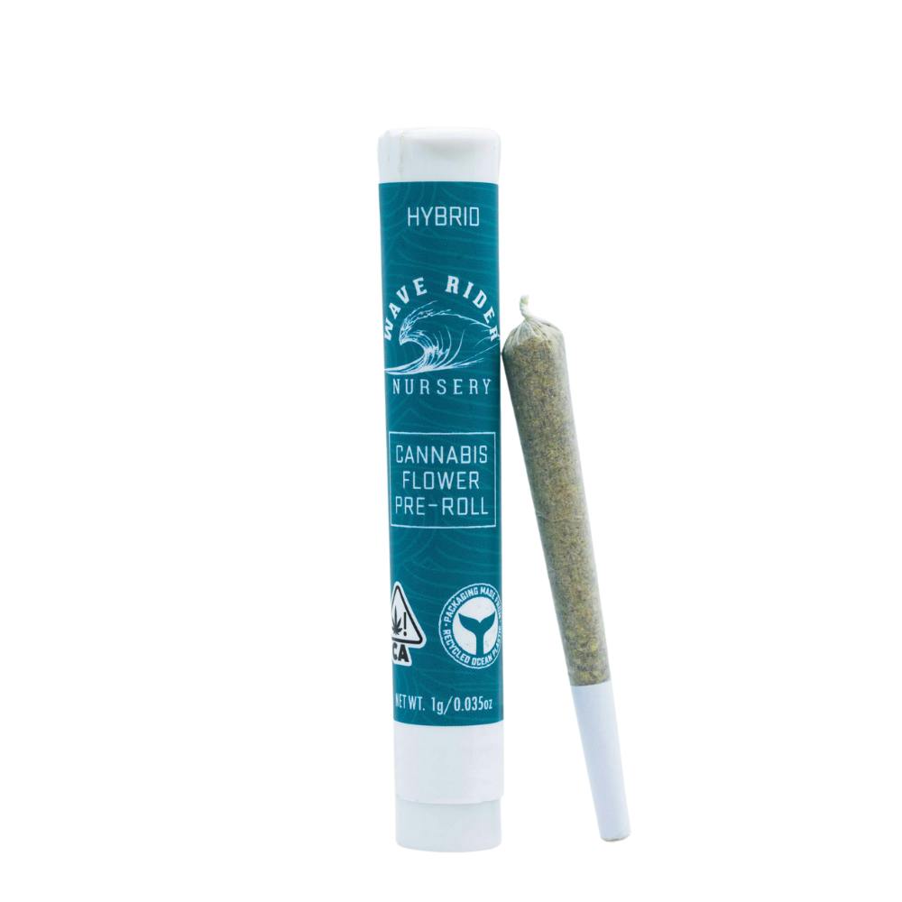 Cantaloupe Haze Preroll - 1 g