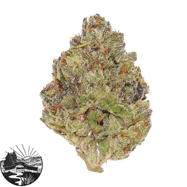 White Truffle - 3.5 g