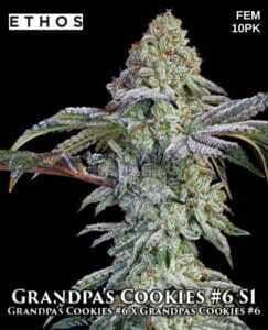 Grandpas Cookies