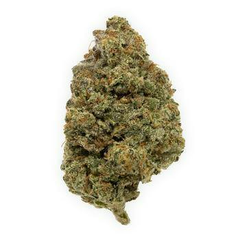 Mendoz Stomper Pre-roll 2pk 0.5g