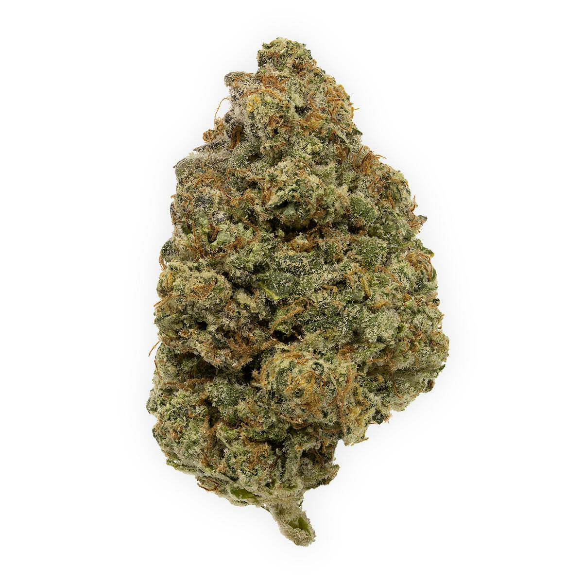 Mendoz Stomper