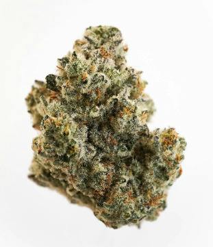 3.5g | Royal Cheetah Piss