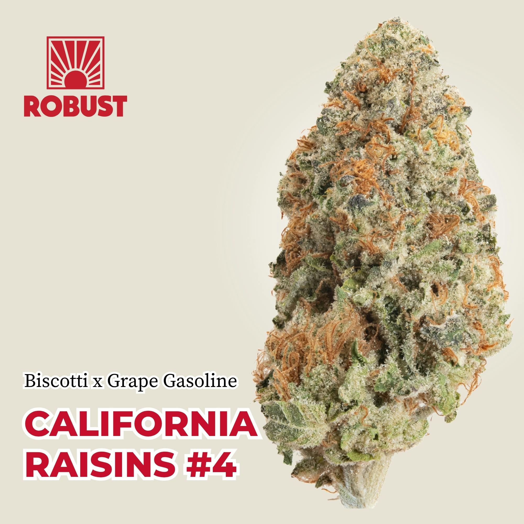 3.5g | Robust California Raisins #4