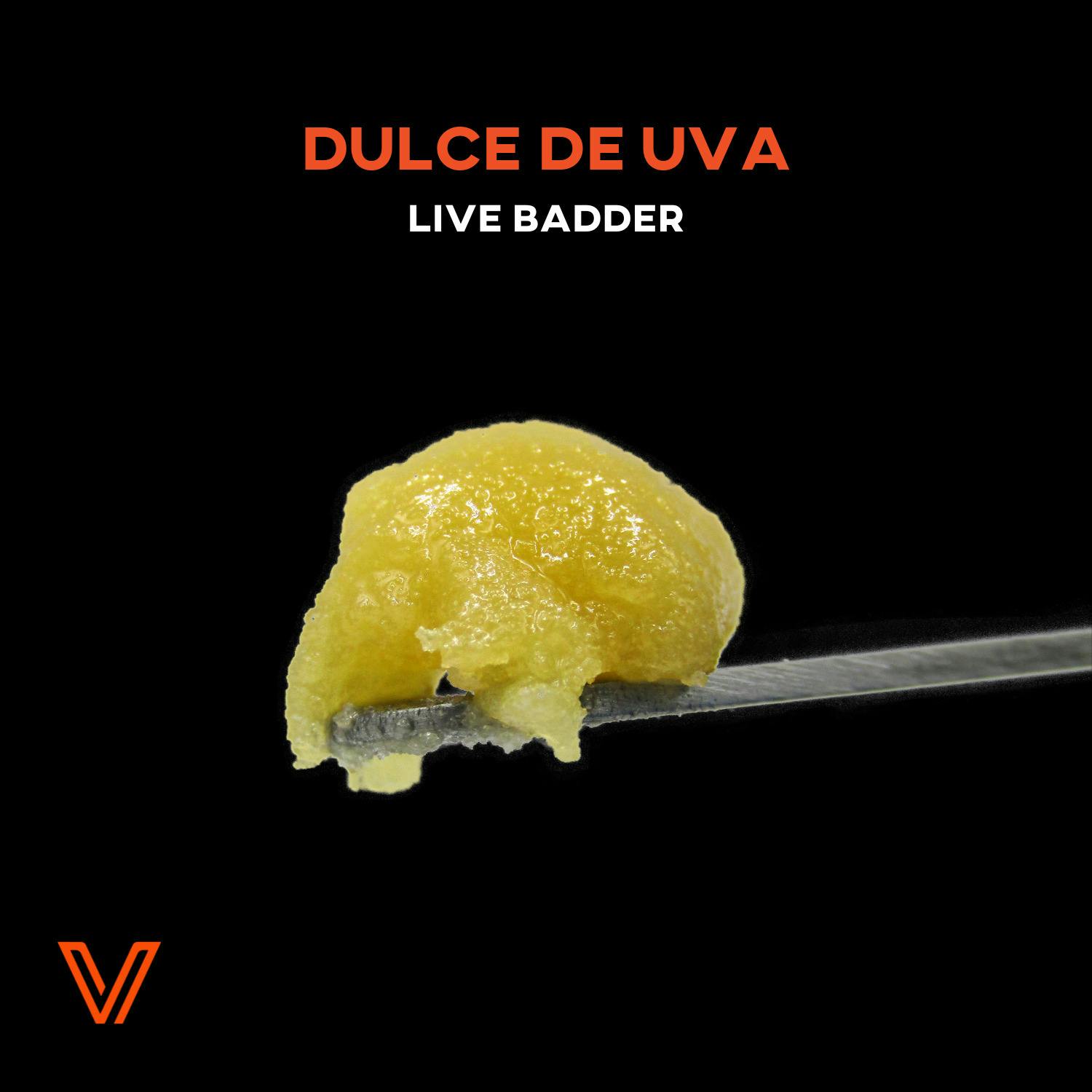 Live Badder 1.1g | Vivid Dulce De Uva