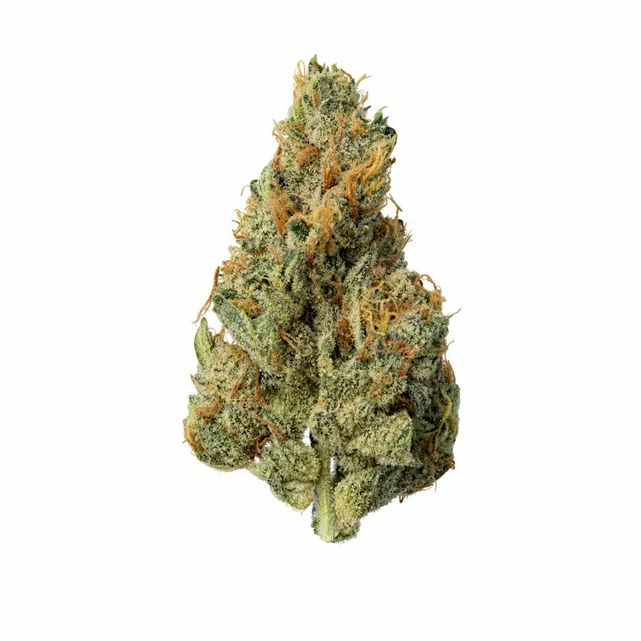 1/2 Zips - Flower - RS-11
