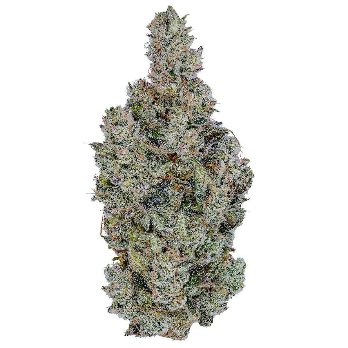 Holy Cow! — 1 gram