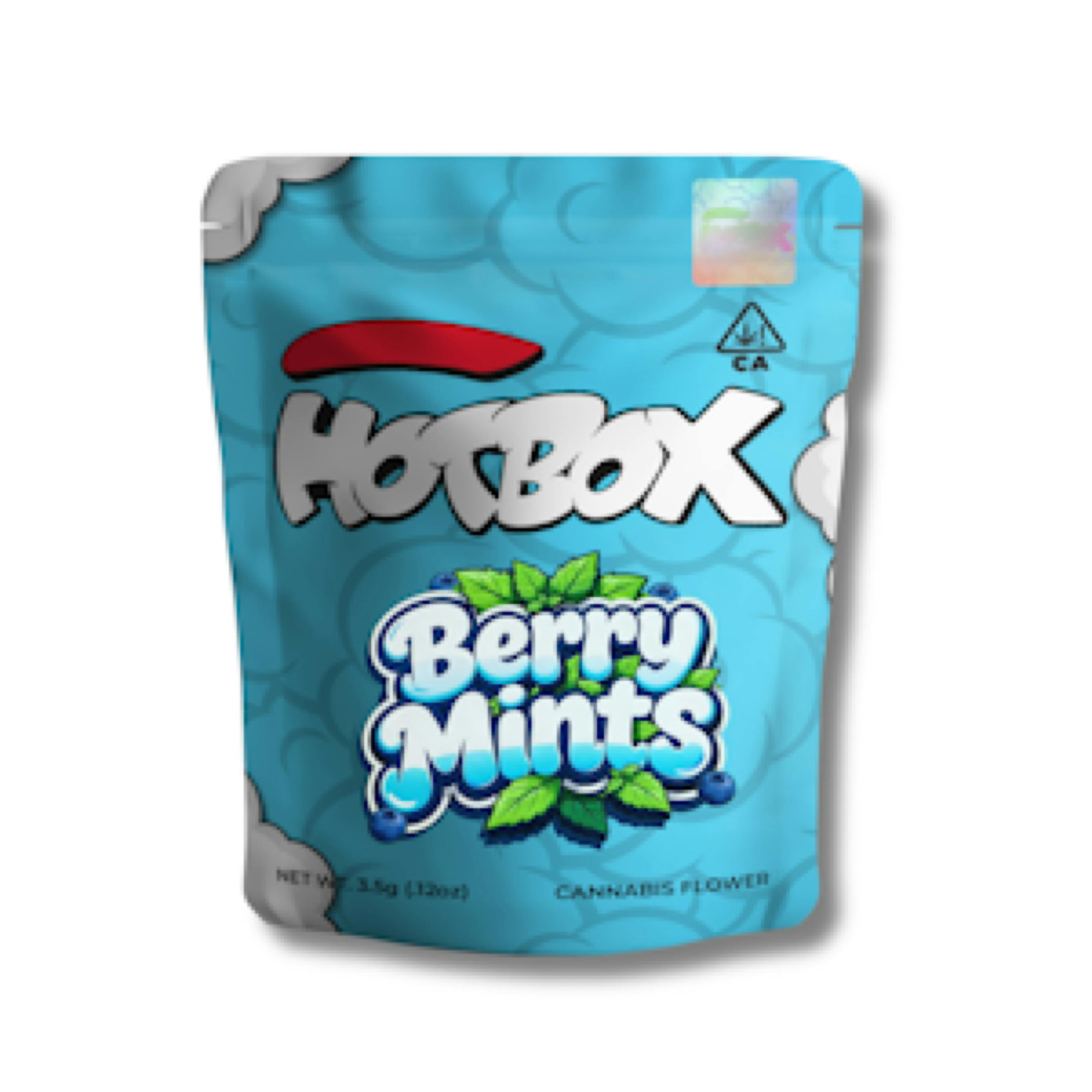 HB 3.5 GR BIG - BERRY MINTS - 16 CT