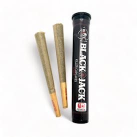 Jealousy 2.4 gram Pre-rolls - Black Jack