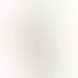 Lemon OG TWO 1.2 Gram OG Prerolls