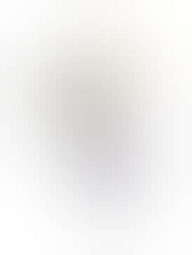 Blueberry Pancake Two 1.2g Preroll - NUGZ