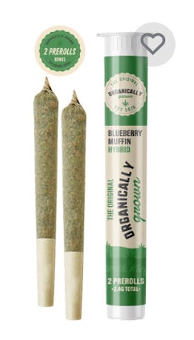 Blueberry Muffin Two 1.2 gram Pre Rolls