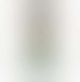 10 Shot Bullets - RUNTZ PIE