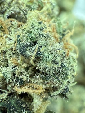 PRE PACKED Gas Nana $4.20/gram