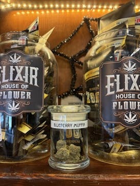 PRE PACKED Blueberry Muffin Exotic