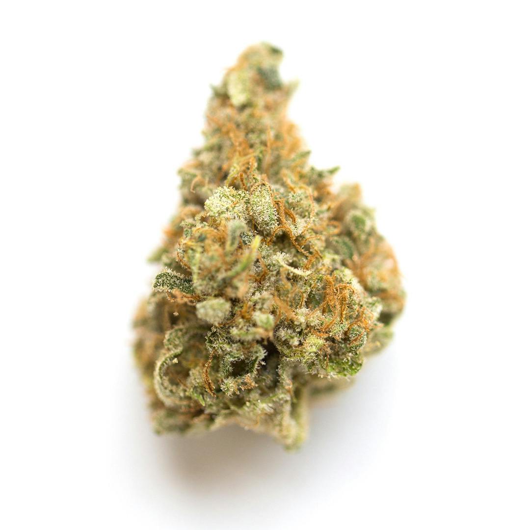 Pre Packed Carbon Kut Throat