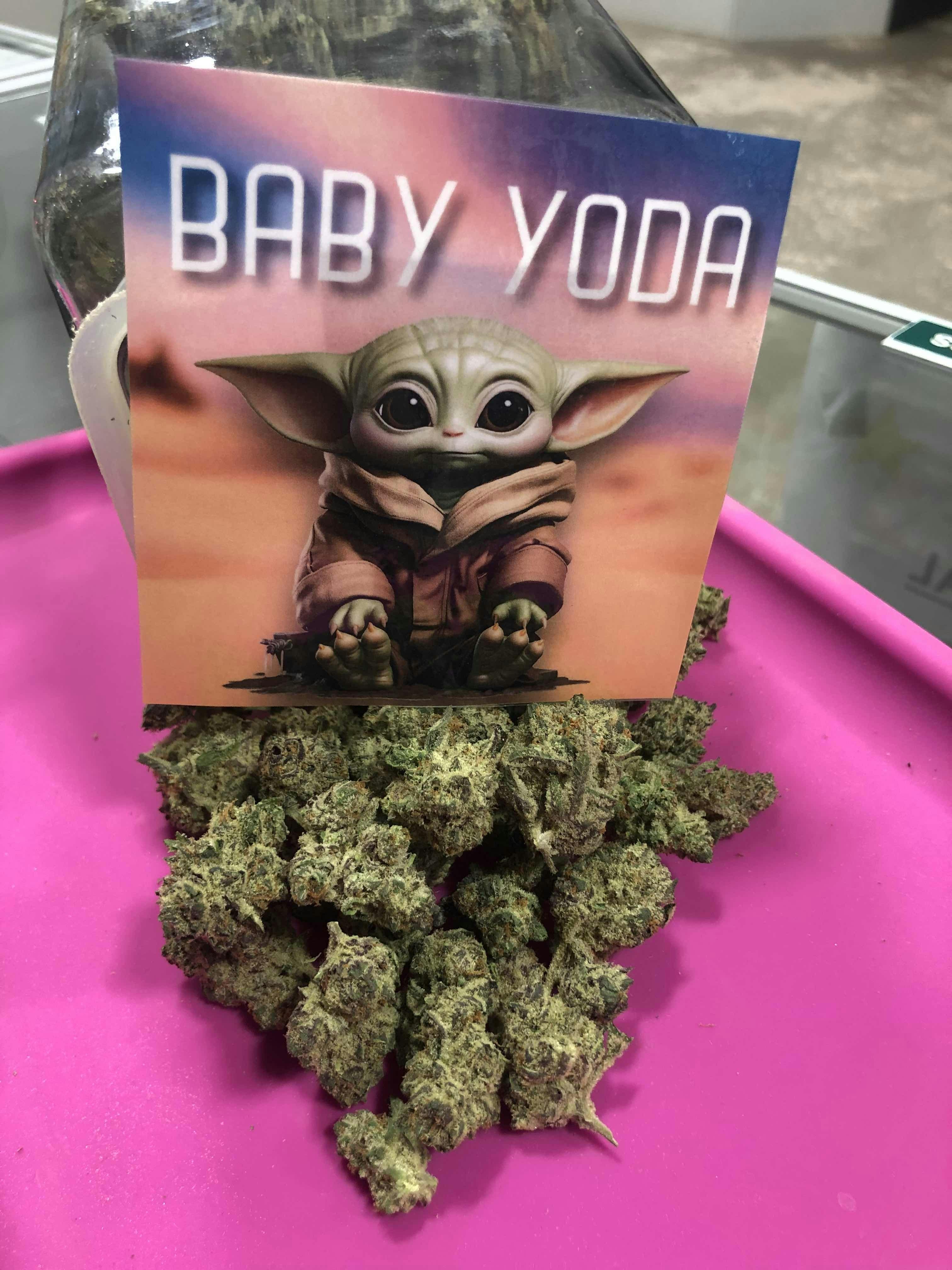 Baby Yoda