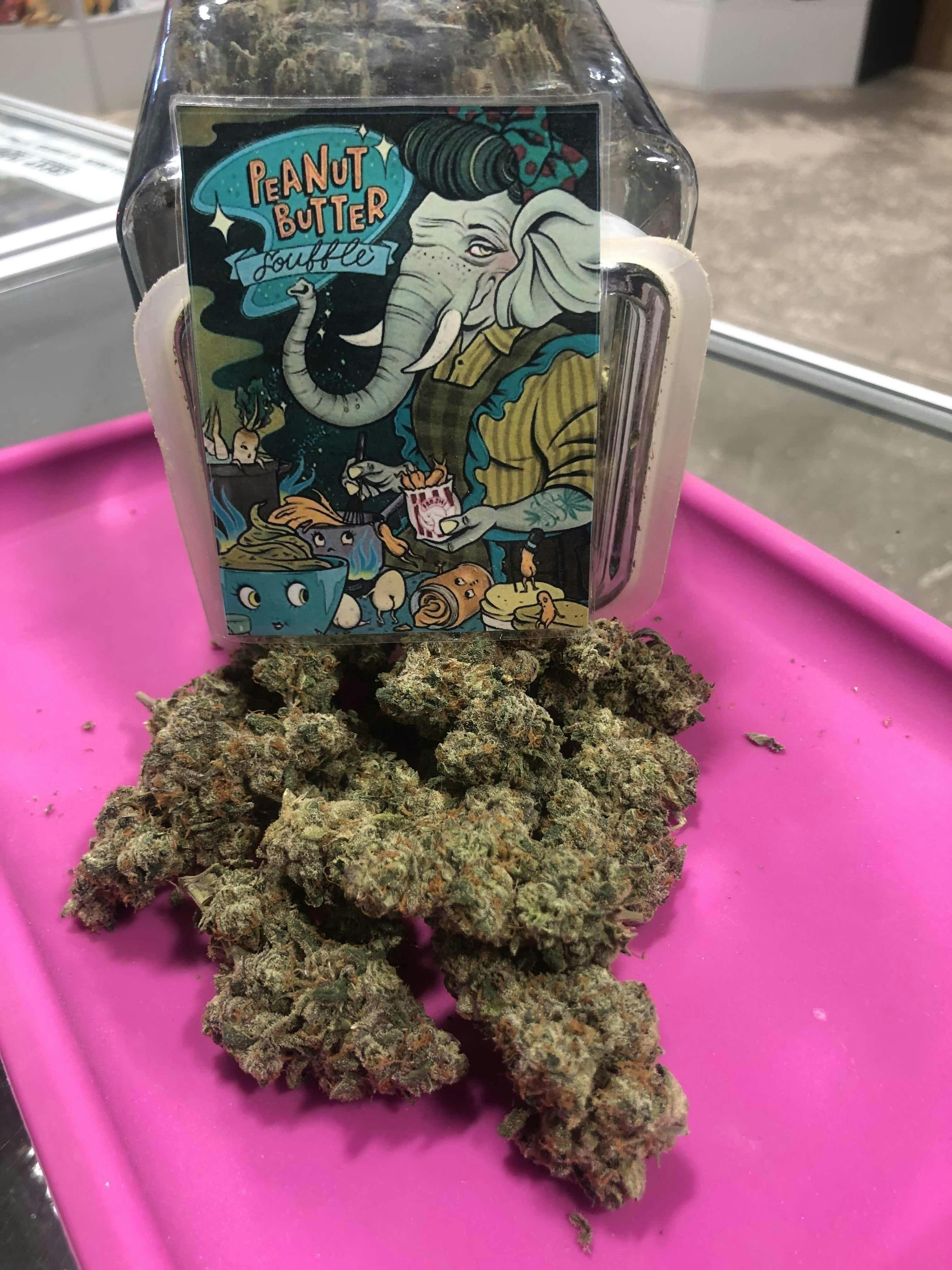Peanut Butter Souffle Flower MAJOR BUDS CULTIVATION