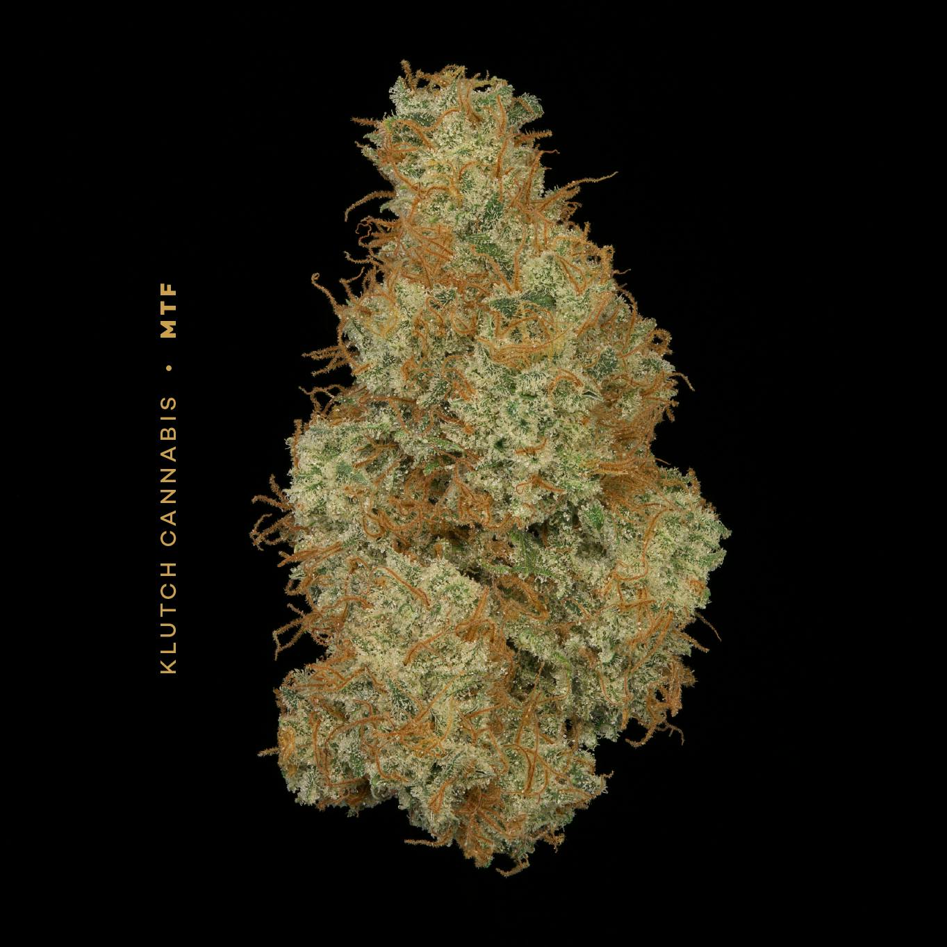 MTF - 2.83g Whole Flower